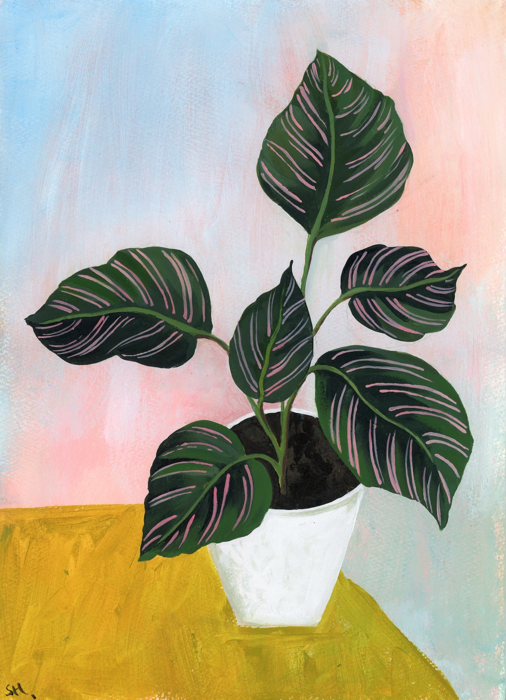 Acrylic still life of a leafy houseplant in a white pot against pink and blue walls on a mustard-yellow surface.